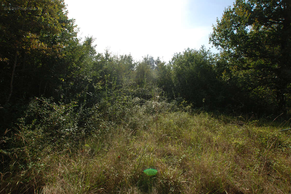 Terrain à SOUILLAC