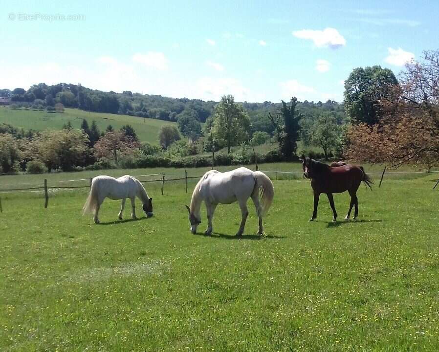 Maison à CAUSE-DE-CLERANS