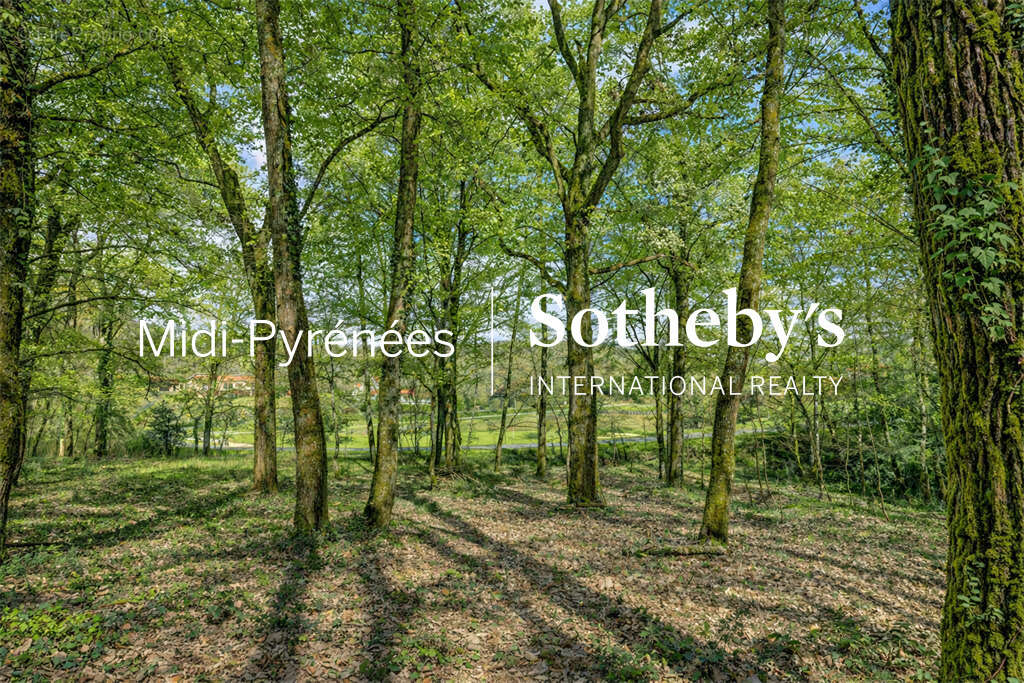 Terrain à BUZET-SUR-TARN