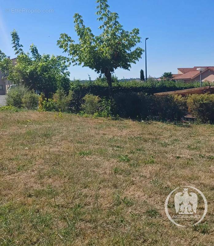 Terrain à CREUZIER-LE-VIEUX