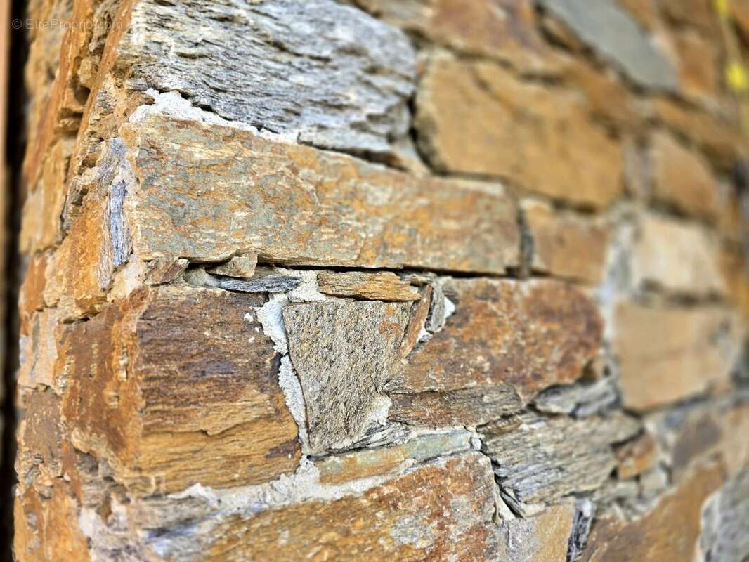 Maison à BORMES-LES-MIMOSAS