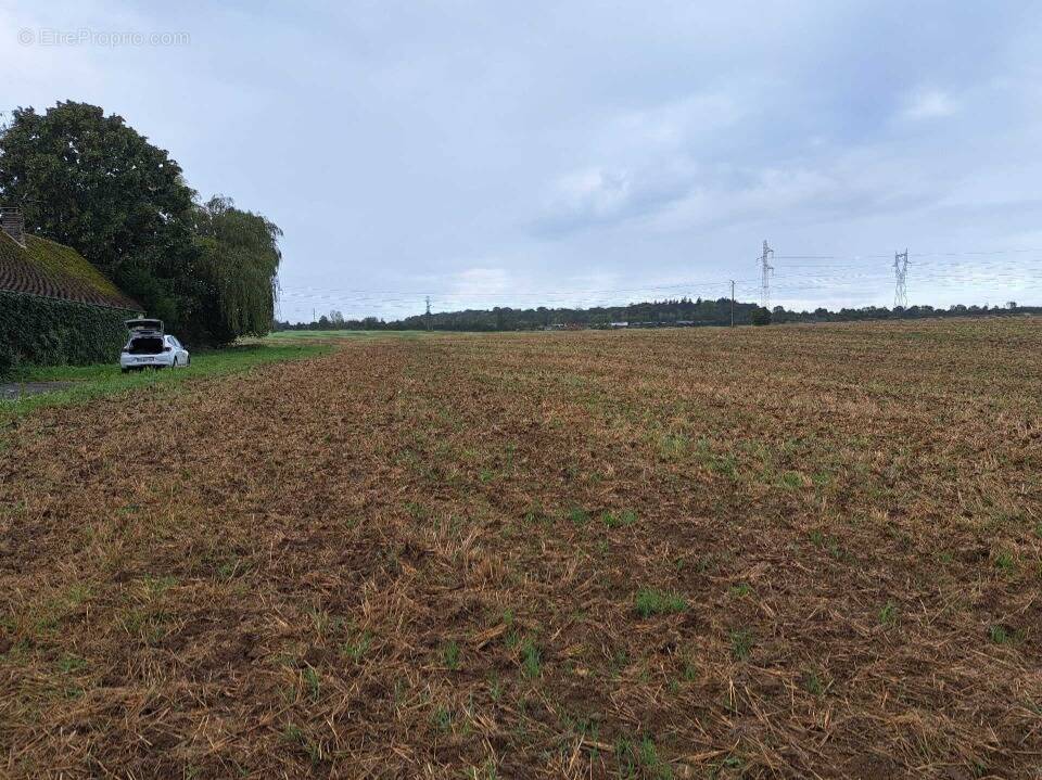 Terrain à LONGUEIL-SAINTE-MARIE