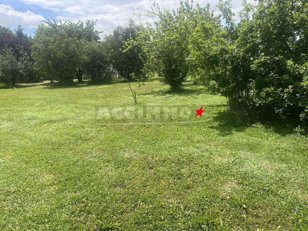 Terrain à QUINT-FONSEGRIVES