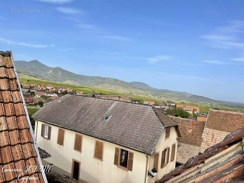 Dpt Haut-Rhin (68), à vendre ZELLENBERG immeuble 197 m² - photo 10