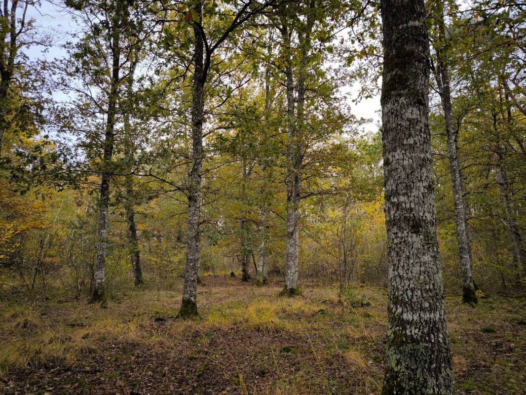 Terrain à VEILLEINS