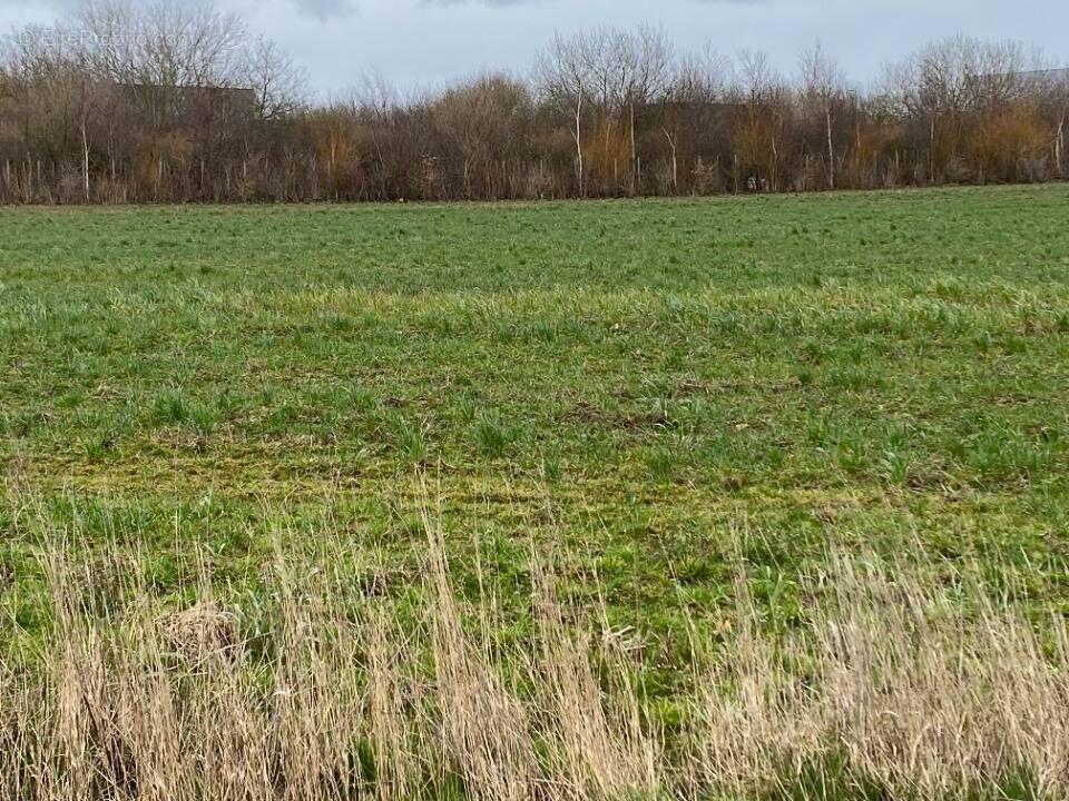 Terrain à DOUDEAUVILLE