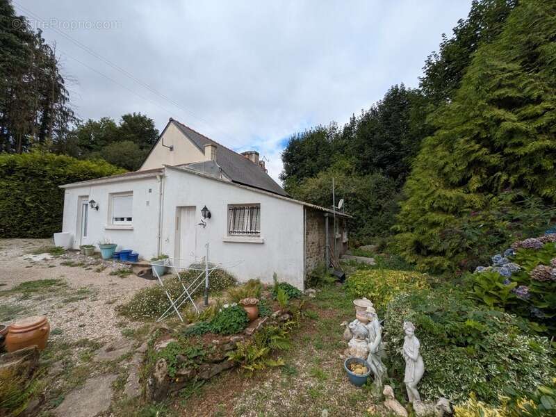Ploerdut en campagne maison de 58 m2 3 pieces vie de plain pied parcelle de 877m² avec garage - photo 3