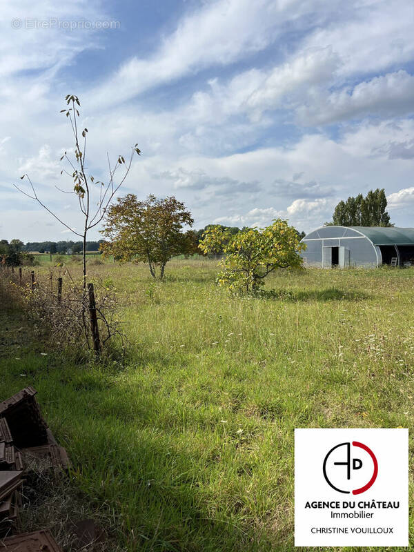 Terrain à SAINT-BENOIT-SUR-LOIRE