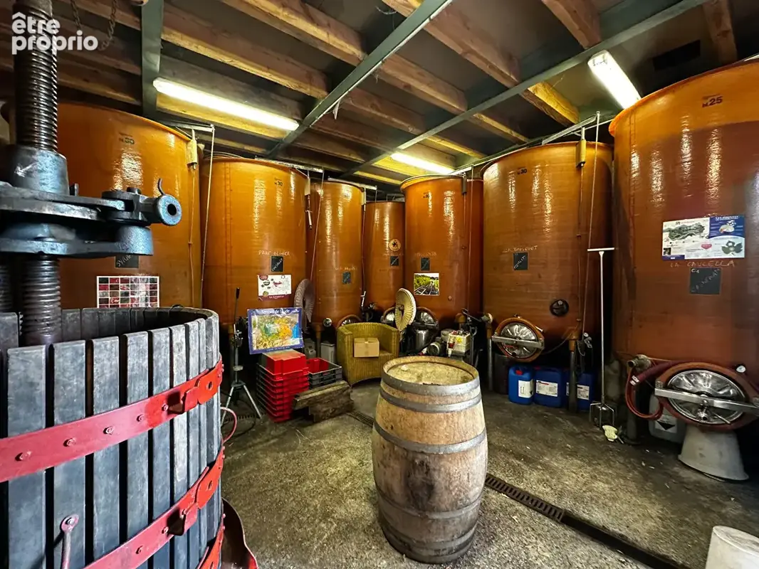 Charmante cave à vin, idéale pour être transformée en logement - photo 6