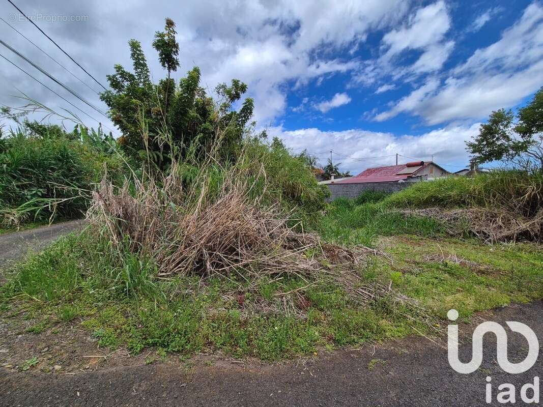 Photo 2 - Terrain à SAINT-LOUIS