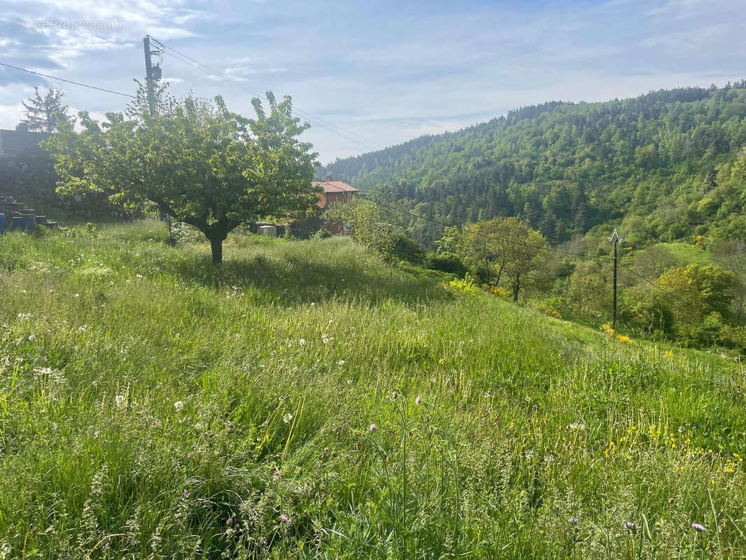 Agréable maison avec jolie terrain - photo 2