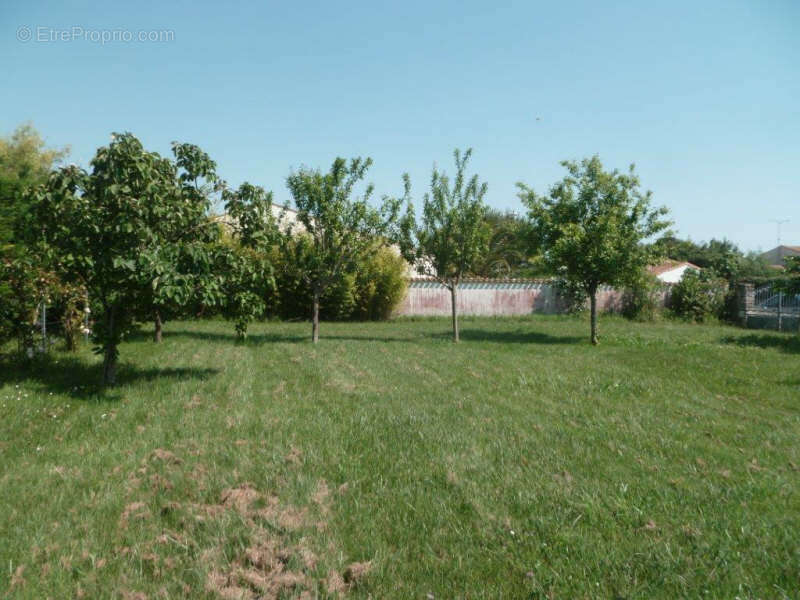 Terrain à DOLUS-D&#039;OLERON