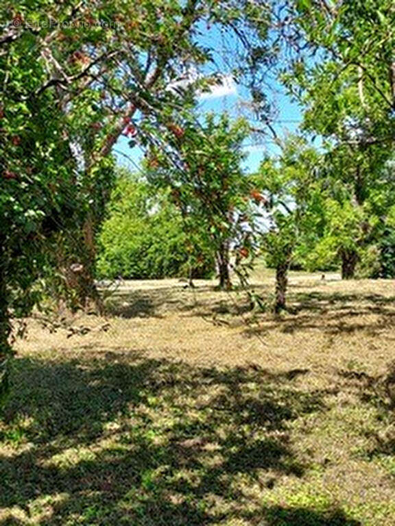 Terrain à CRUCHERAY