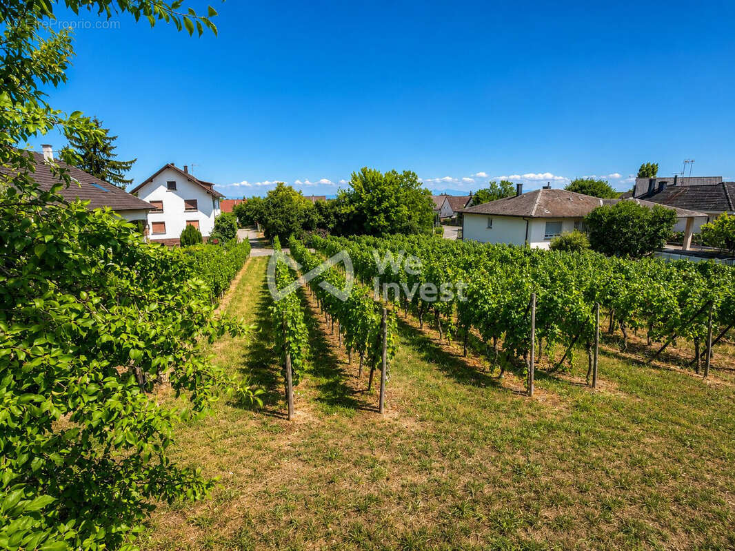 Terrain 1000 m² à Wettolsheim  - photo 2