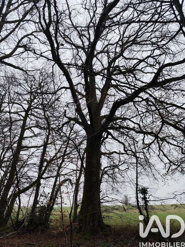Photo 3 - Terrain à LA CHAPELOTTE