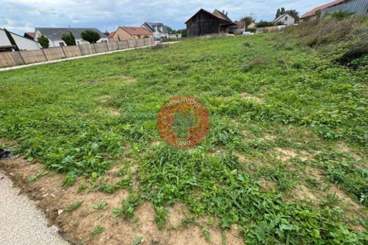 Terrain à BEAUNE