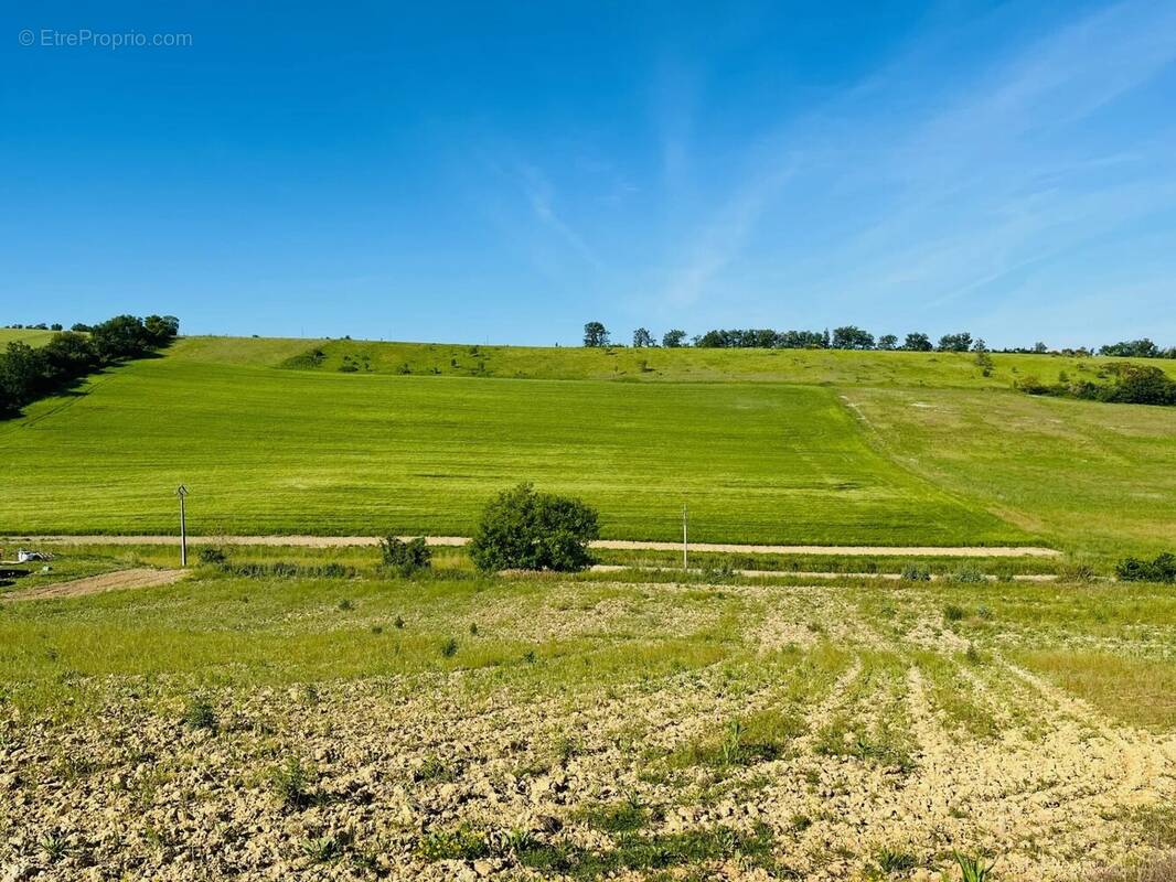 Terrain à VILLEFRANCHE-DE-LAURAGAIS