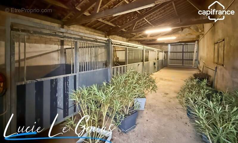 Ferme équestre - photo 28
