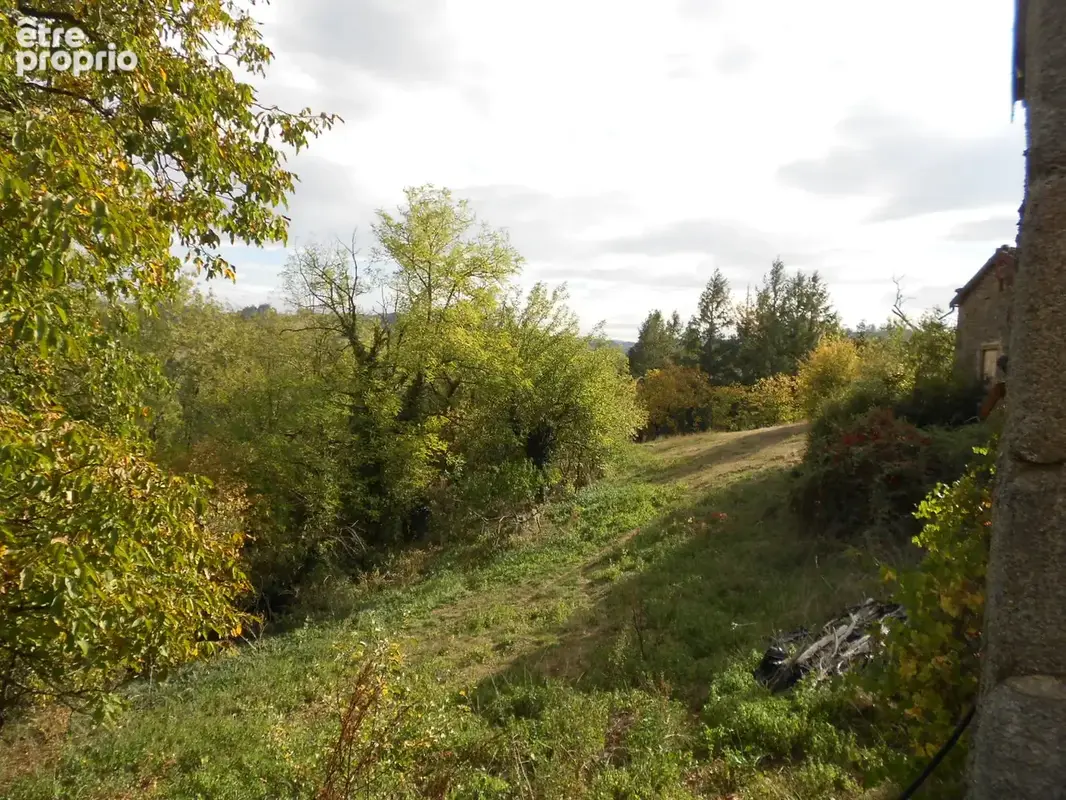 Lieu-dit Meymont Olliergues, ensemble de 3 maisons et dépendances sur parcelles de 8009 m2 - photo 12