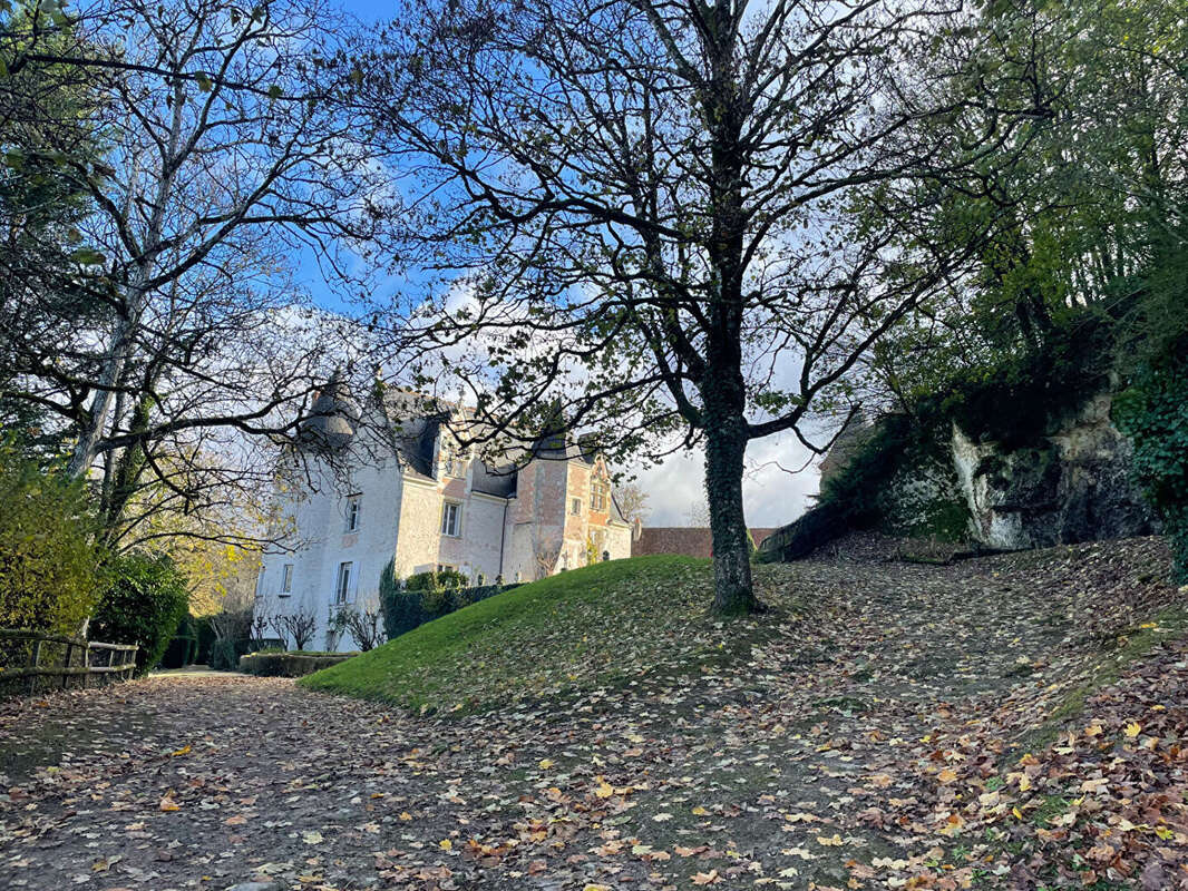 Magnifique Château  du 15ème à 2 pas d'Amboise - photo 8