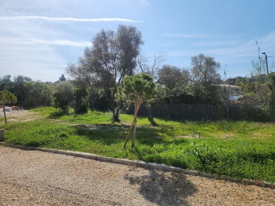 Terrain à HYERES