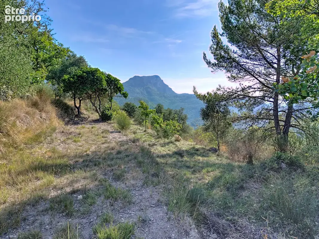 Pierrefeu   Terrain de 1 562 m2 exposé sud avec permis de construire accordé - photo 3