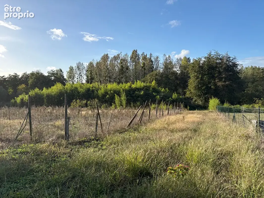 Terrain Carcares Sainte Croix 1560 m2 - photo 3