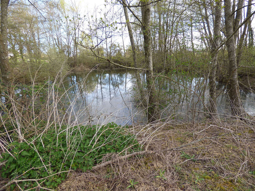 Terrain à SAINT-TRIVIER-DE-COURTES