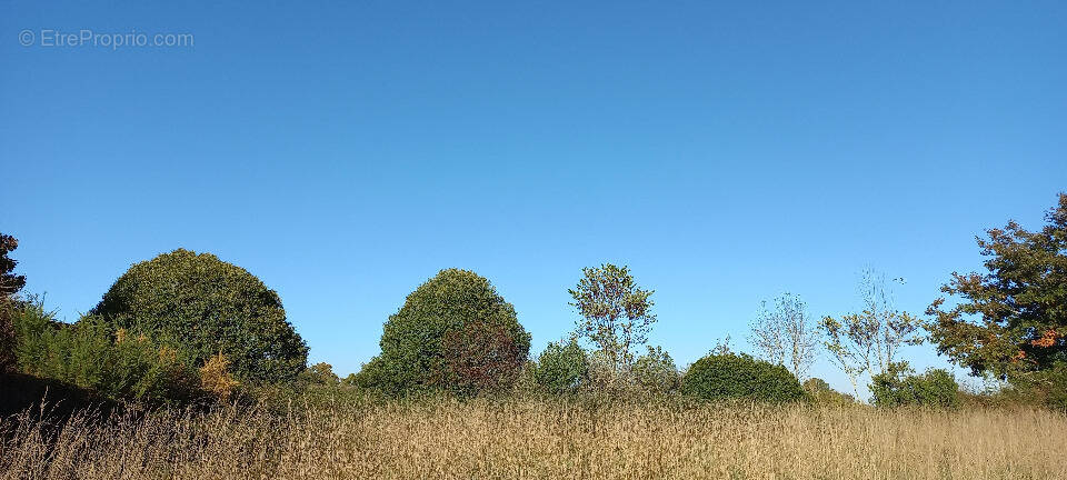 Terrain à SAINT-MARTIAL-D'ARTENSET