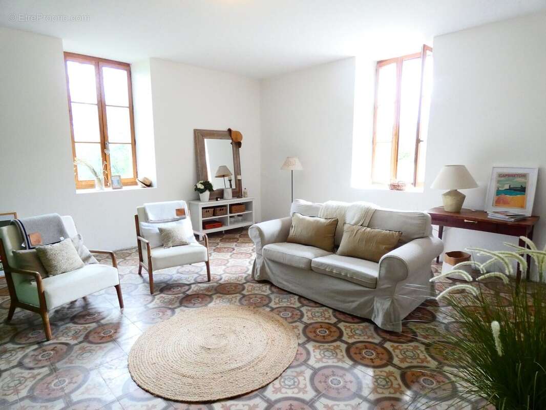 L&#039;Isle-en-Dodon, Haute Garonne, charmante maison spacieuse avec ruisseau, cadre rural, salon, carrelage, double vitrage  charming spacious house with stream, rural setting living room, tiled floor, double glazing - Maison à L&#039;ISLE-EN-DODON