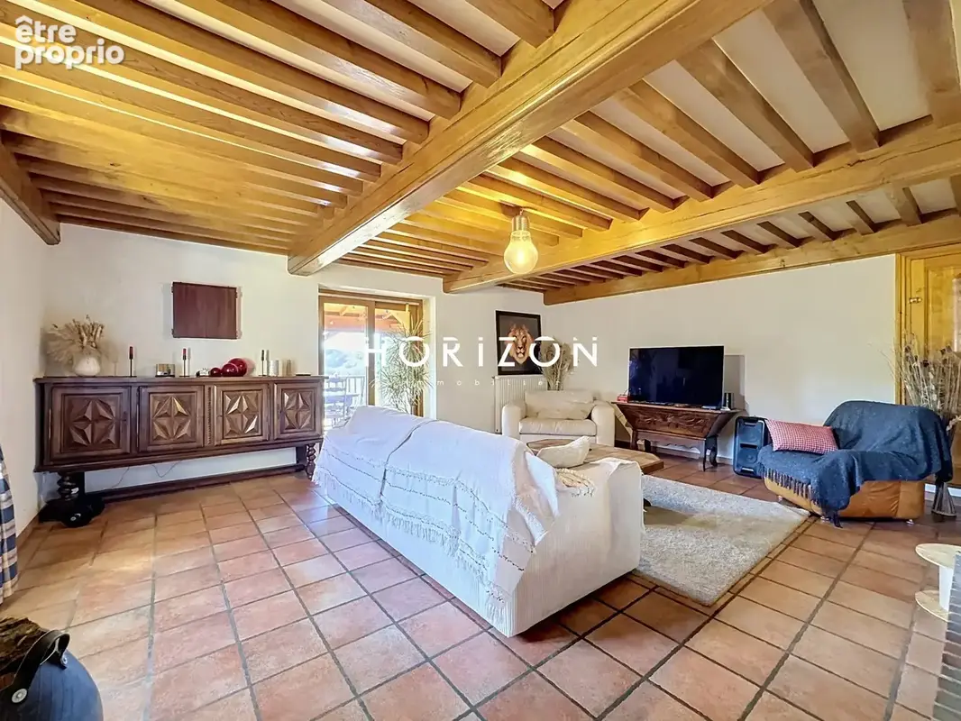 Maison 5 pièces 223 m² à vendre à Belmont-De-La-Loire (42670) - photo 7