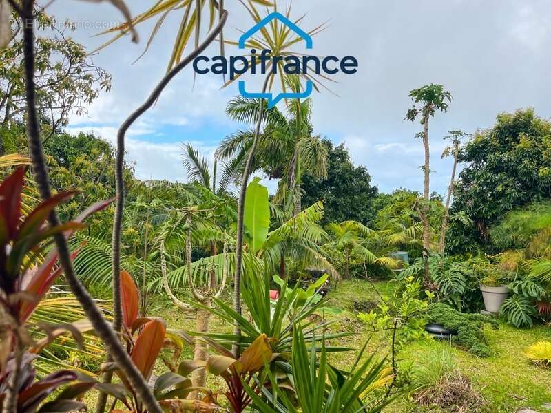 Commerce à SAINTE-ROSE