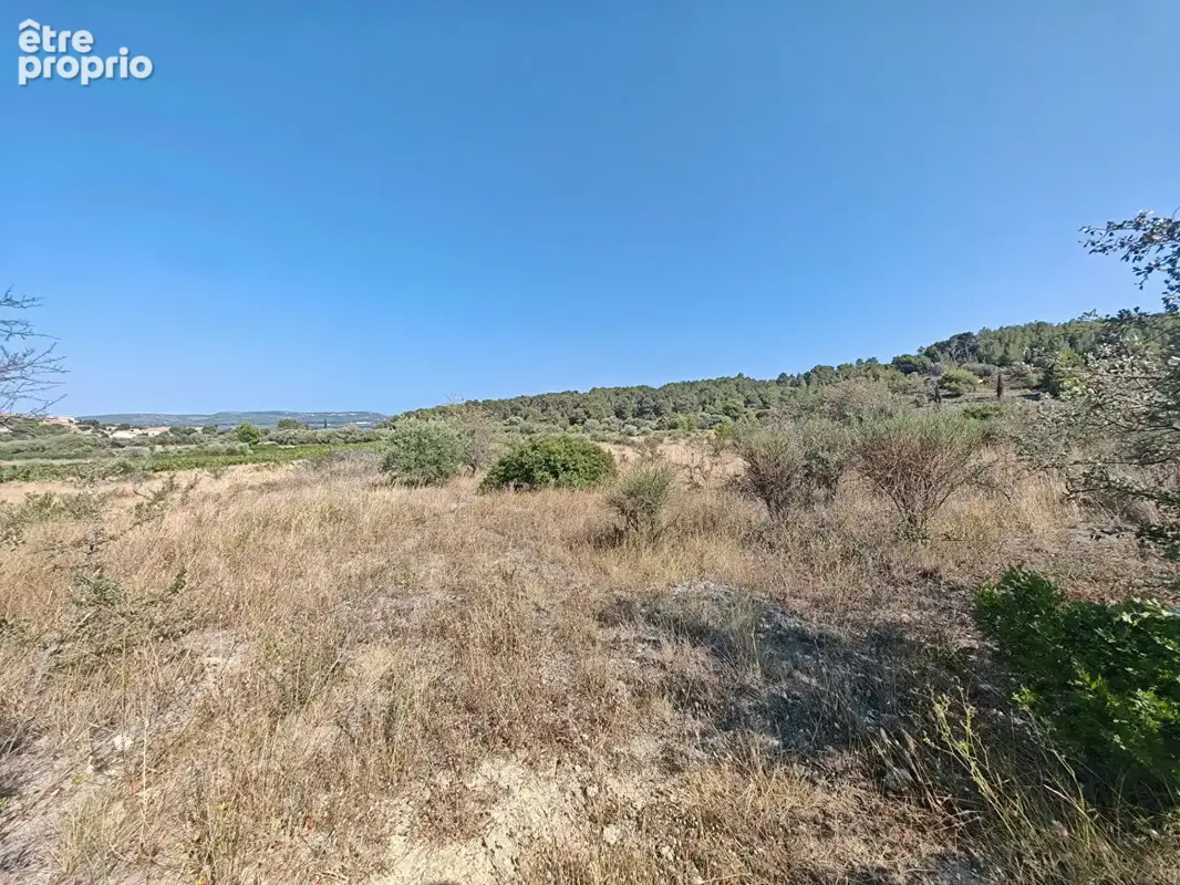 Terrain agricole de 1.23 hectares ! - photo 2