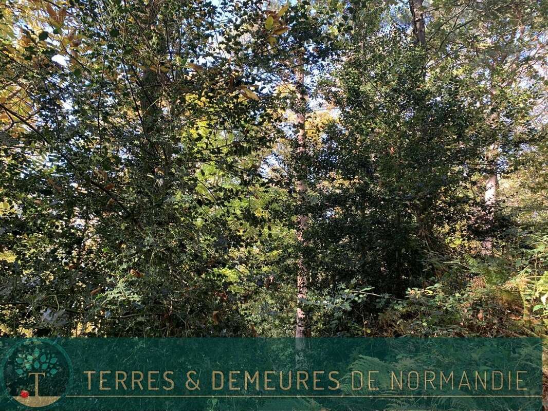 Terrain à BEUZEVILLE