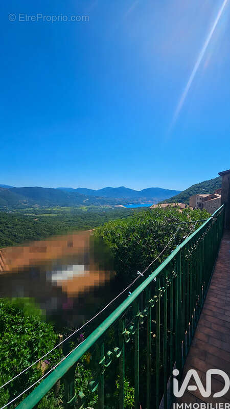 Photo 8 - Maison à OLMETO
