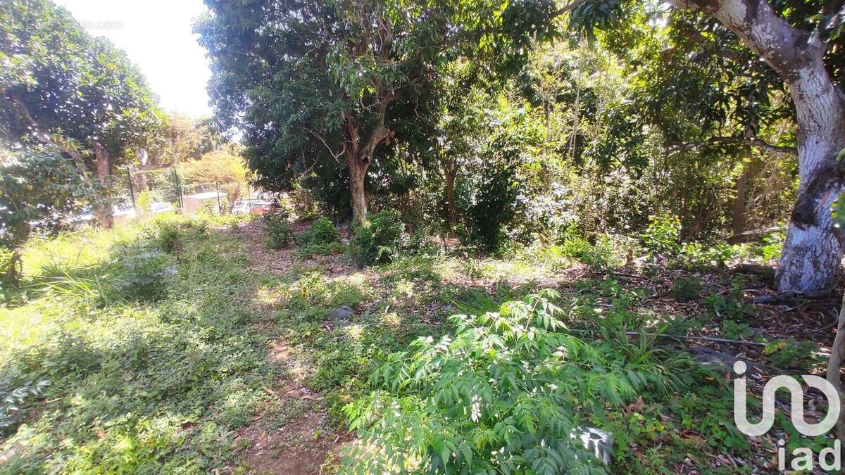 Photo 2 - Terrain à SAINT-LOUIS