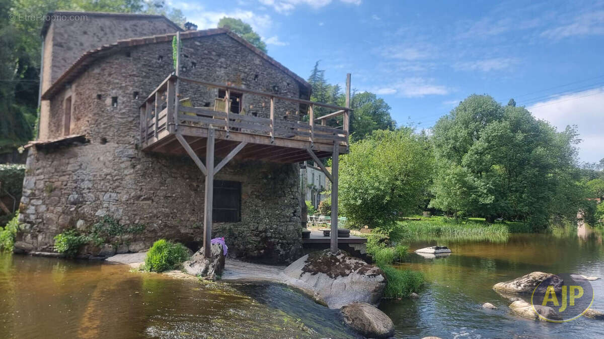 Maison sur la Sèvre et gîte - photo 4