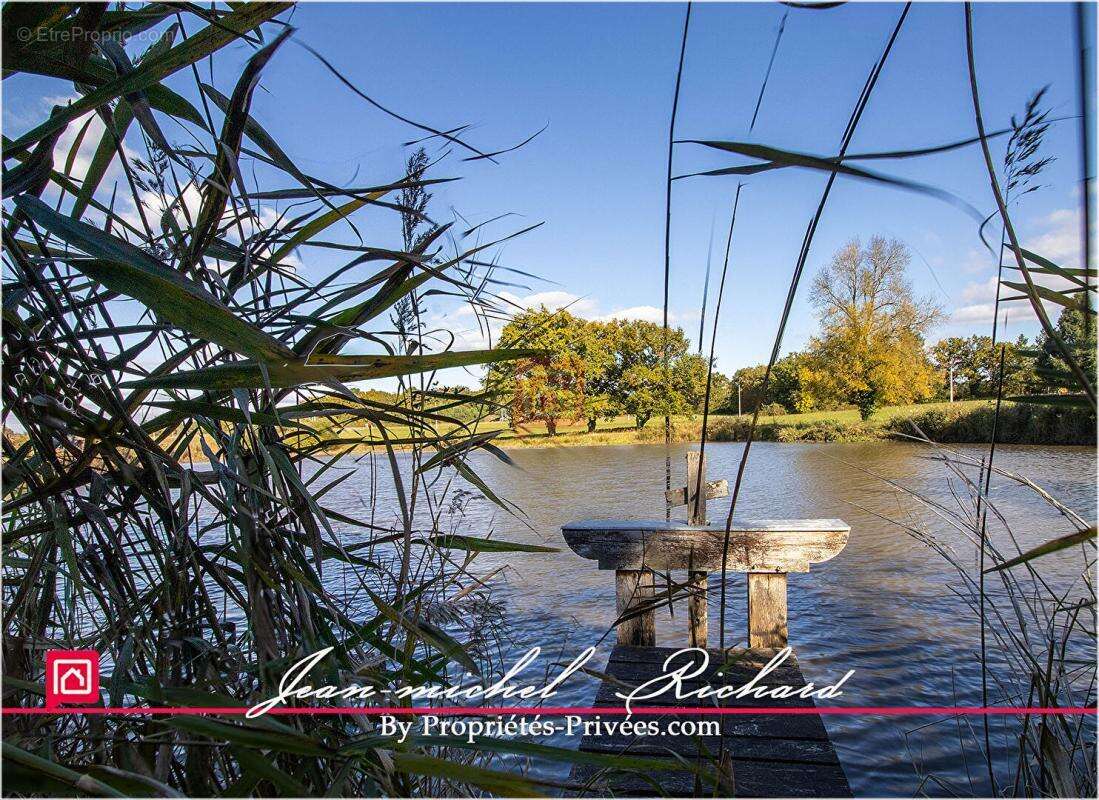 Terrain à GY-EN-SOLOGNE