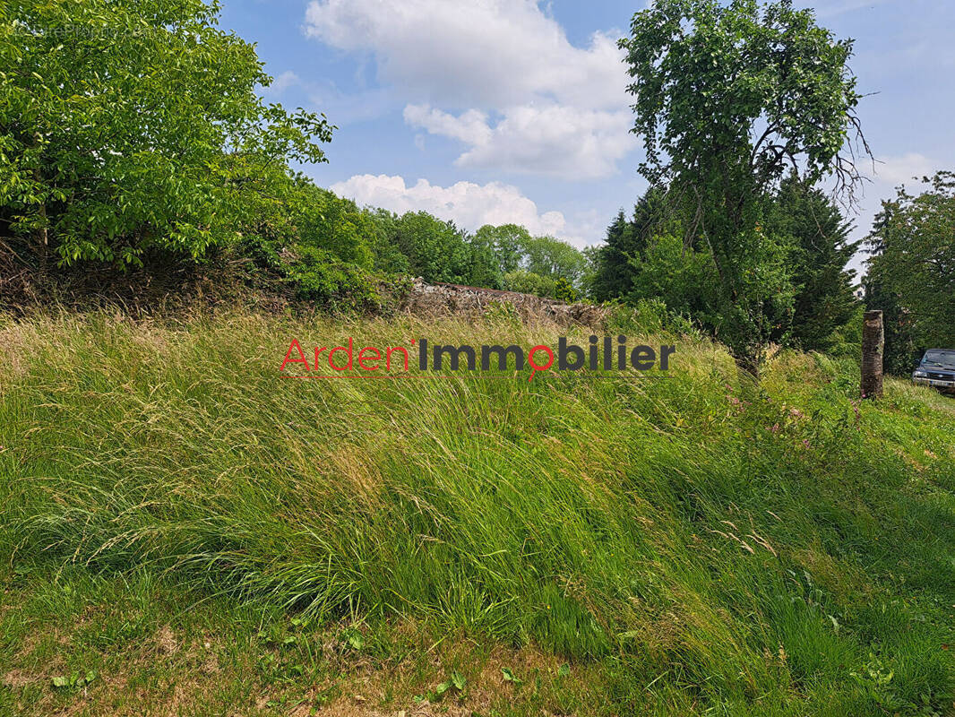 Terrain à SAULCES-MONCLIN