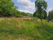 Terrain à SAULCES-MONCLIN