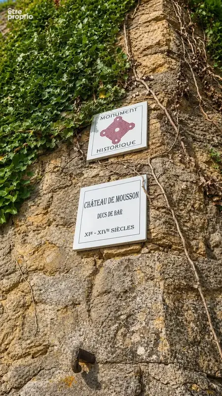 Bien immobilier à vendre à Mousson (54700) - photo 2