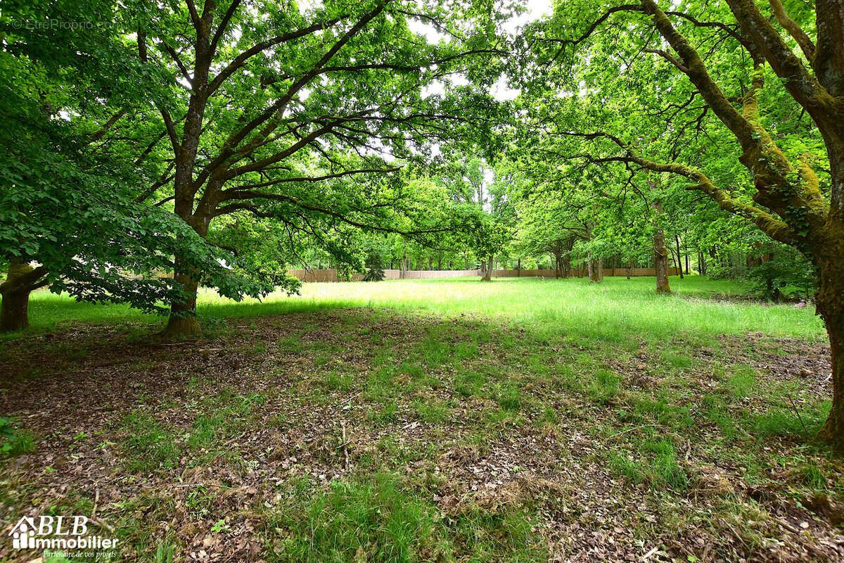 Terrain à GROSROUVRE