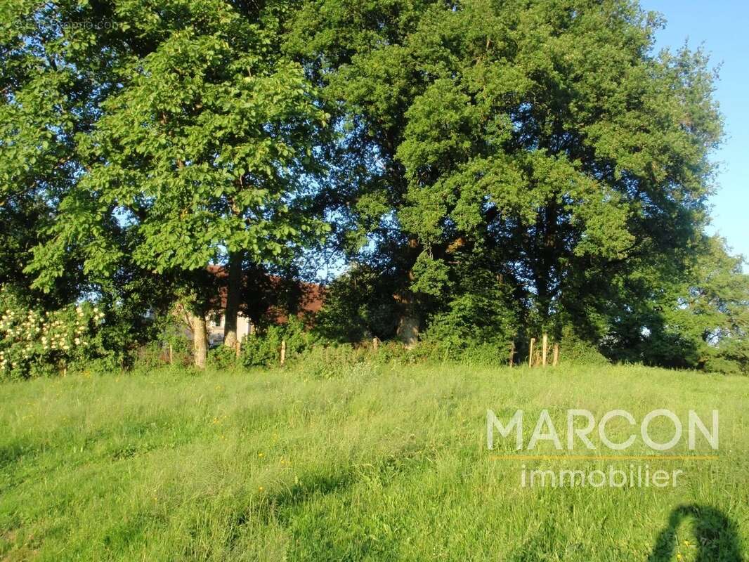 Maison à MAISON-FEYNE