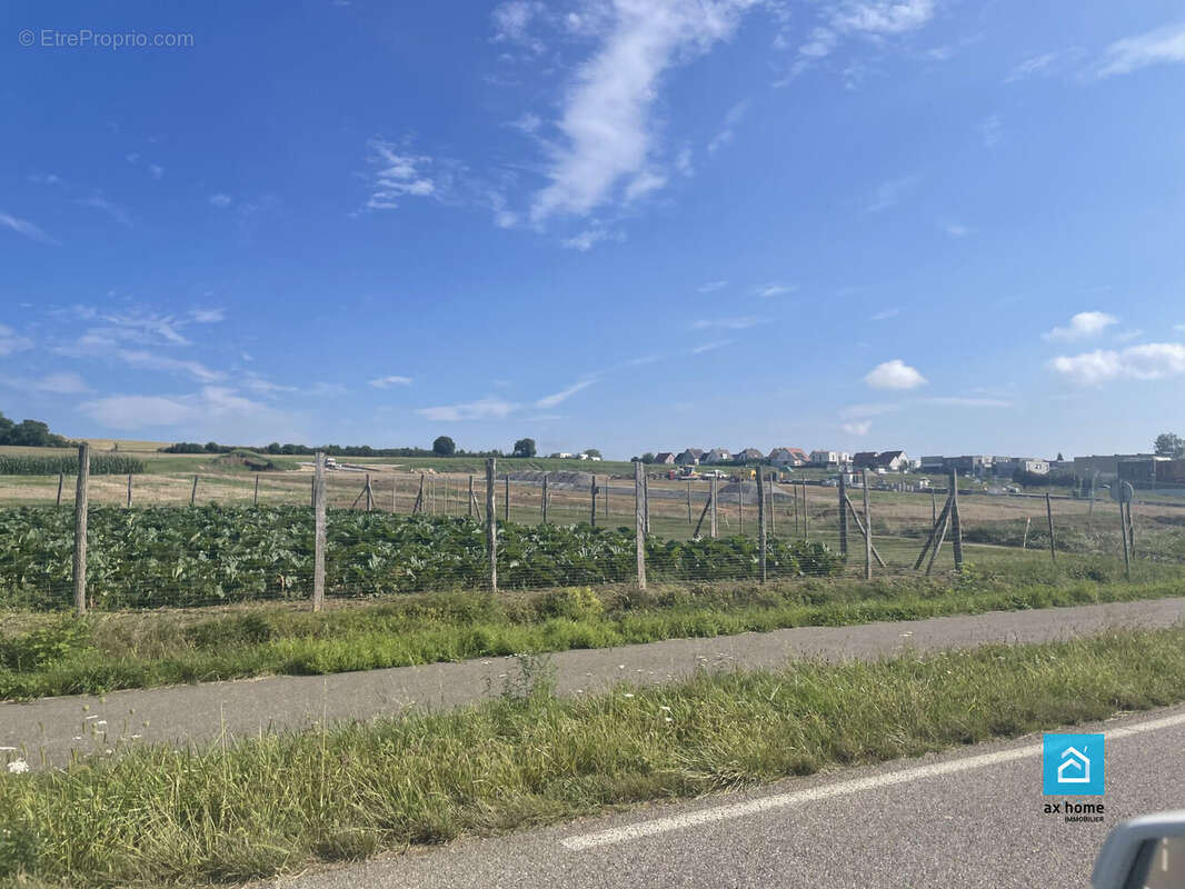 Terrain à WASSELONNE