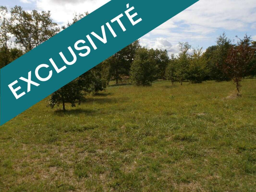 Photo 3 - Terrain à ASTAFFORT