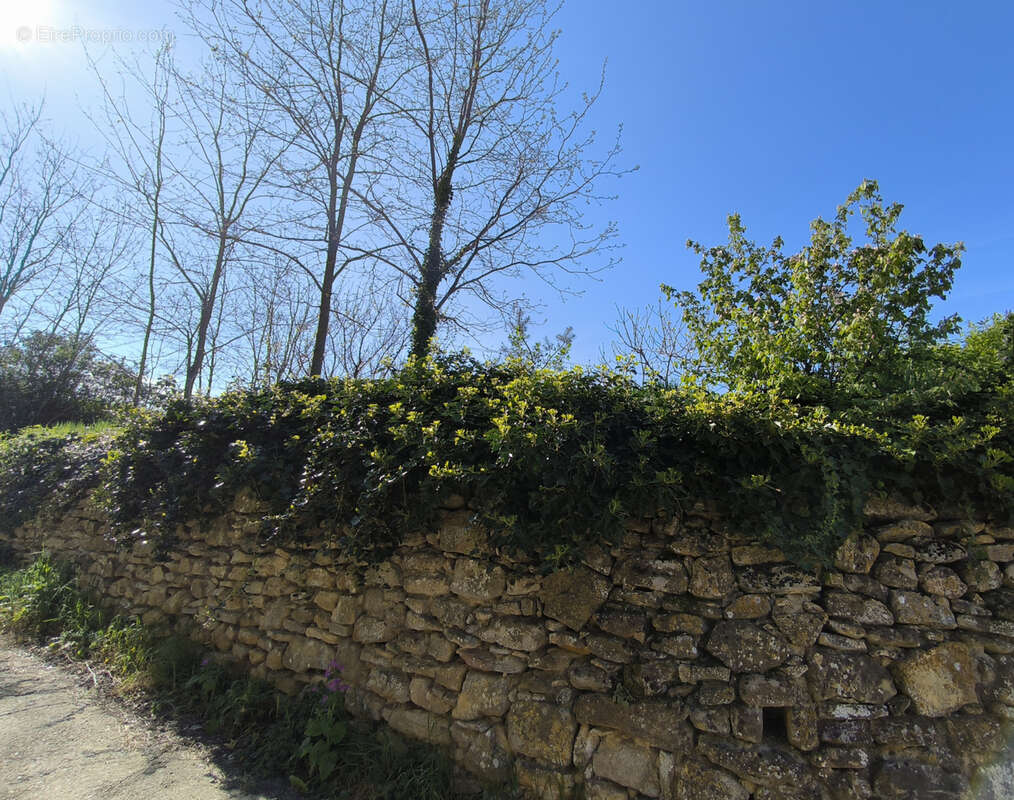 Terrain à SAINT-LAURENT-LA-VERNEDE