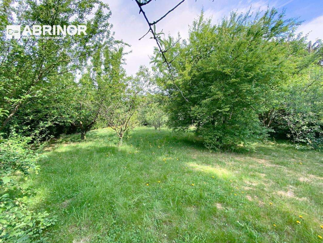 Terrain à RONCHIN