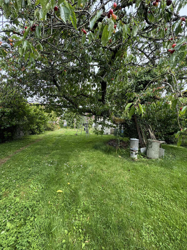 Maison à MONTCHANIN