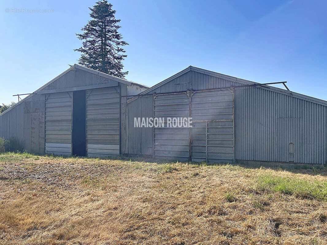 Maison d'habitation dependance et hangar de 800 m² - erquy - photo 17