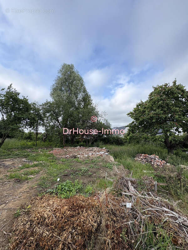 Terrain à LABEUVRIERE